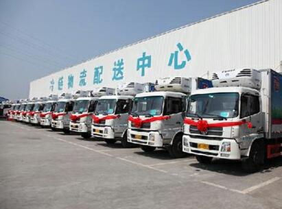 車輛展示
