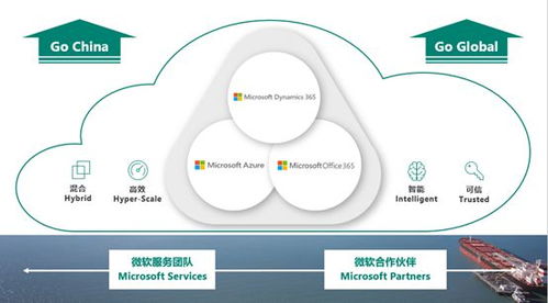 微軟智能商業云中國區戰略解析 Dynamics 365 發布會獨家揭秘與軟件開發新機遇